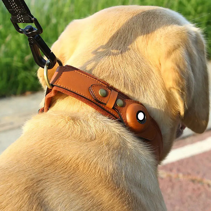 Premium Leather Dog Collar with AirTag Holder – Keep Your Dog Safe with Wander Safe