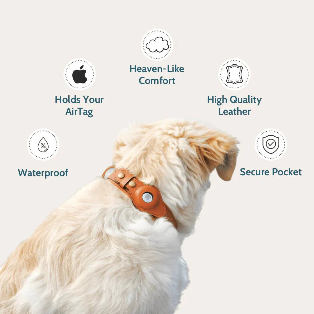 Premium Leather Dog Collar with AirTag Holder – Keep Your Dog Safe with Wander Safe