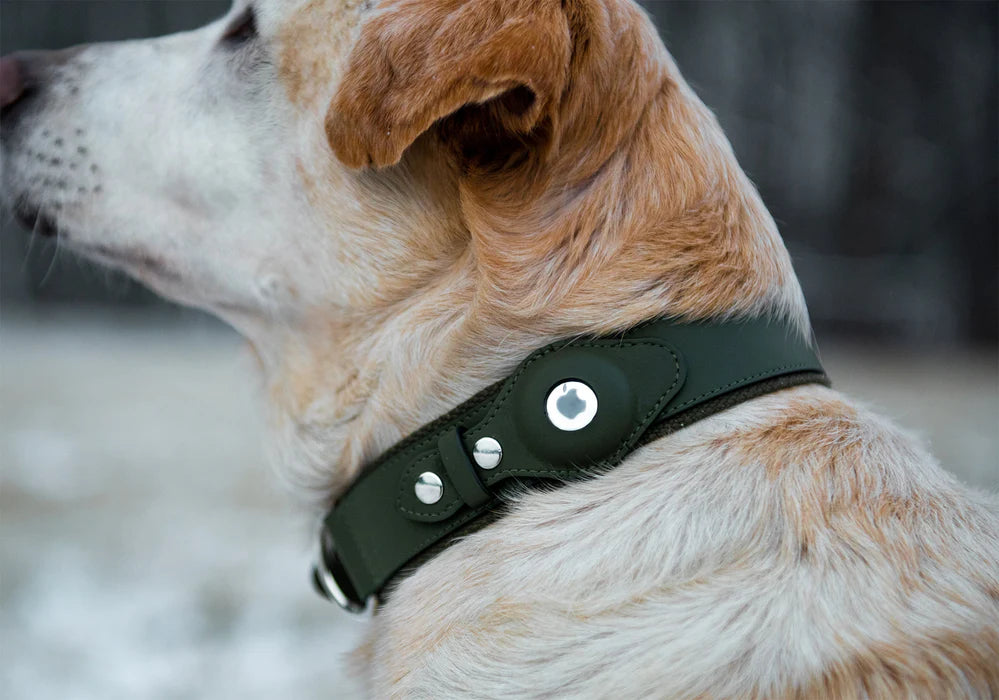 Premium Leather Dog Collar with AirTag Holder – Keep Your Dog Safe with Wander Safe