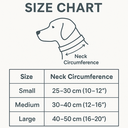 Premium Leather Dog Collar with AirTag Holder – Keep Your Dog Safe with Wander Safe