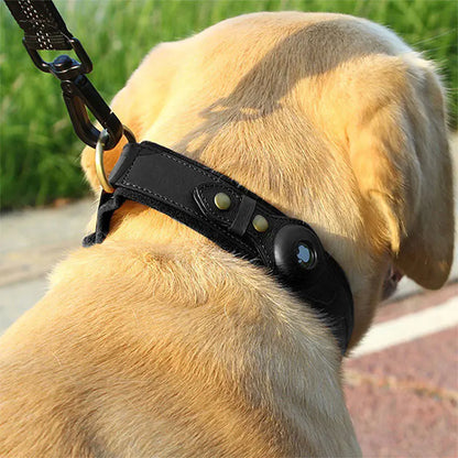 Premium Leather Dog Collar with AirTag Holder – Keep Your Dog Safe with Wander Safe