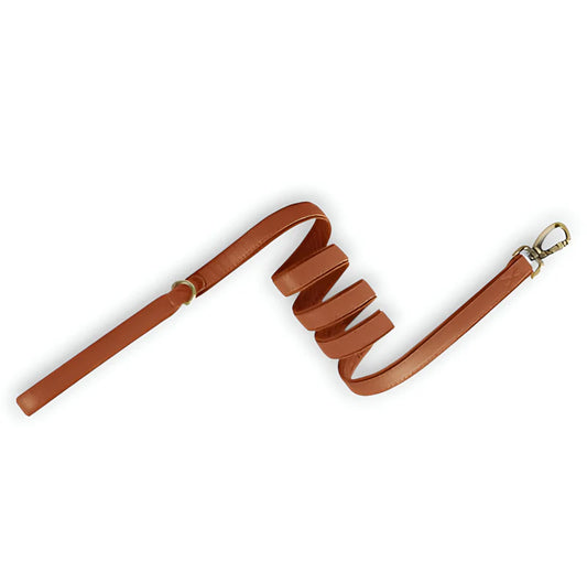 Wander Safe 6 ft Leather Dog Leash | Durable & Soft Leash for Small,Medium & Large Dogs